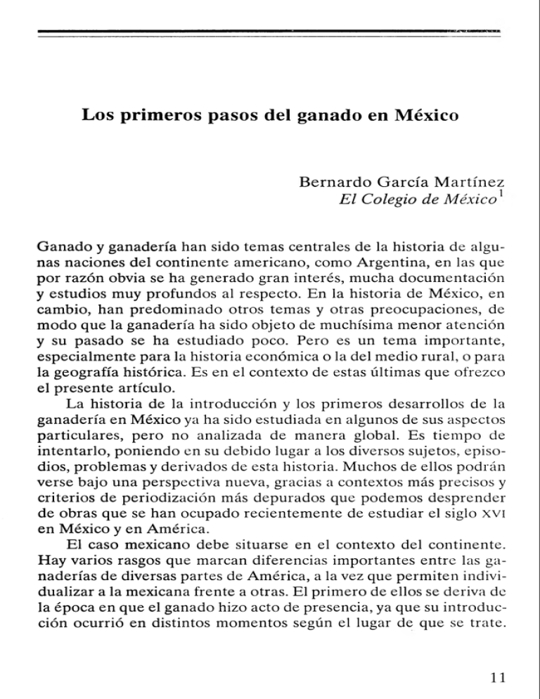 Los Primeros Pasos Del Ganado En México