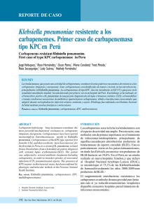 Klebsiella pneumoniae resistente a los carbapenemes. Primer caso