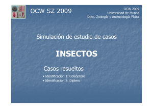 Simulación de casos - OCW