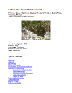 Patrones de Asentamiento Mayas y Uso de la Tierra en