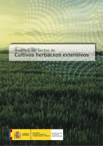 Sector - Cultivos herbáceos extensivos