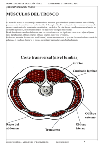 MÚSCULOS DEL TRONCO Corte transversal (nivel lumbar)