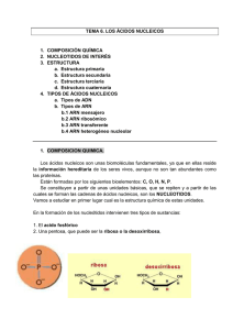 TEMA 6. LOS ÁCIDOS NUCLEICOS 1