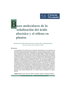 Bases moleculares de la señalización del ácido abscísico y el