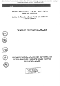 (Esta Directiva no ha sido publicada en el diario oficial “El Peruano