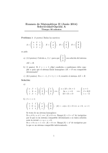 Junio 2014 - Matemáticas con Derive