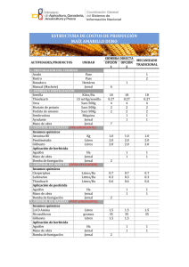 estructura de costos de producción maíz amarillo duro