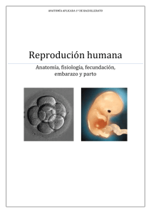 Reproducción humana
