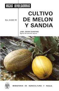 cultivo de melon y sandia - Ministerio de Agricultura, Alimentación y