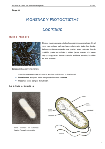 moneras y protoctistas los virus