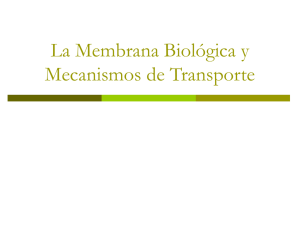 Membranas Biológicas y Modos de Transporte