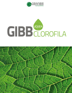 clorofila - GIBANIBB