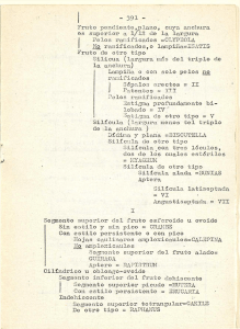 Fruto pendiente , plano , cuya anchura es superior a 1/12 de la