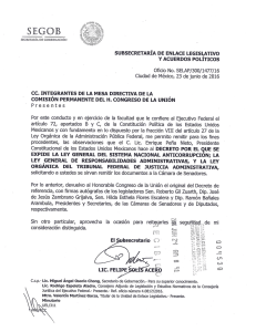 observaciones que el c. lic. enrique peña nieto, presidente