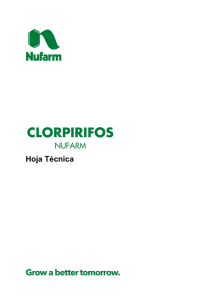 clorpirifos