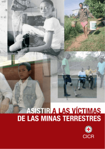 Asistencia a las víctimas de las minas terrestres