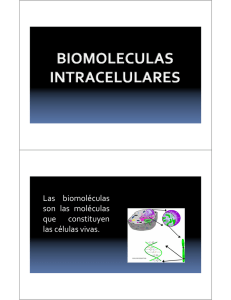 Las biomoléculas son las moléculas que constituyen las células vivas.
