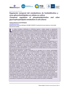Regulación temporal del metabolismo de fosfatidilcolina y otros