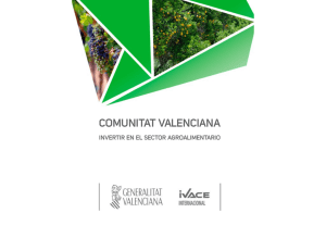 COMUNITAT VALENCIANA - Invest in Valencia Spain