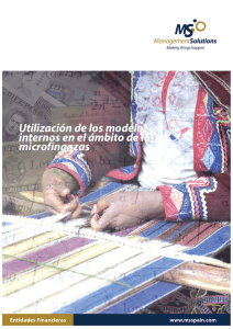 Utilización de los modelos internos en el ámbito de las microfinanzas