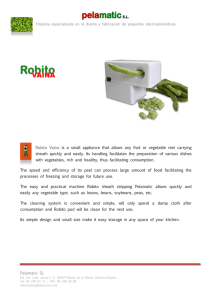 Pelamatic SL Robito Vaina is a small appliance that allows any fruit