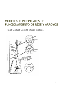 Gómez R. 2003. Modelos conceptuales de funcionamiento