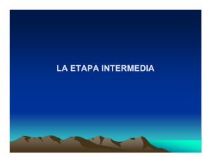 LA ETAPA INTERMEDIA - Ministerio Público