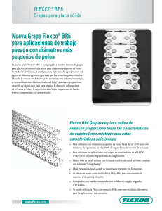 Flexco® BR6 Grapas para placa sólida
