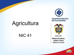 11. NIC 41 Agricultura