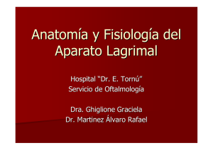 Anatomía y Fisiología del Aparato Lagrimal - PARTE 1