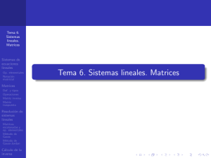 Tema 6. Sistemas lineales. Matrices