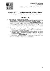 Claves Cnidarios - OCW - Universidad de Murcia