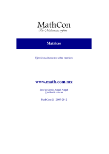 2.6 Problemas de Matrices un poquitín abstractos.