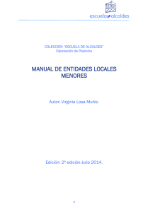 manual de entidades locales menores