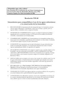 Resolución VIII.40 Lineamientos para compatibilizar el uso de las