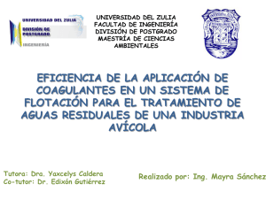 A y G - Instituto de Ingeniería, UNAM