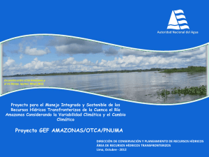 Proyecto GEF AMAZONAS/OTCA/PNUMA