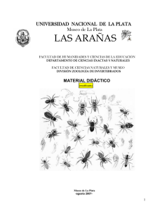 las arañas - Malacologia.com.ar