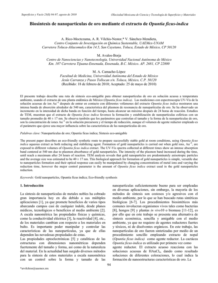 Biosíntesis De Nanopartículas De Oro Mediante El Extracto De