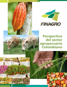 Perspectiva del sector agropecuario Colombiano