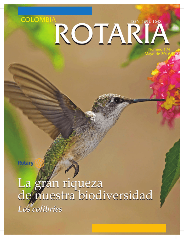 La Gran Riqueza De Nuestra Biodiversidad La Gran Riqueza De