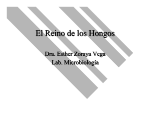 El Reino de los Hongos.ppt