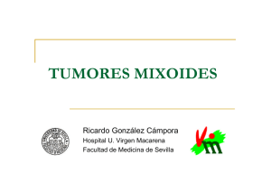 Tumores mixoides