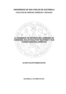 Audiencia de Revisi&oacute;n de Medida de Coerci&oacute;n: An&aacute;lisis Jur&iacute;dico