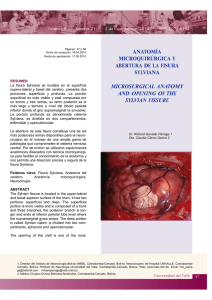 Anatomía Microquirúrgica y abertura de fisura SYLVIANA