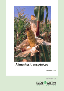 Alimentos transgénicos - Plataforma Transgénicos Fora
