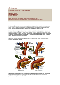 Pancreas Divisum - La Plata Training Center
