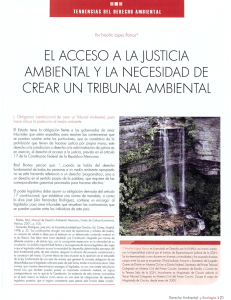 el acceso a laiusticia ambiental y la necesidad de crear un tribunal