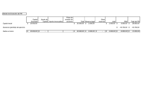 Estado de Evolución del PN Capital Suscripto Ajuste de Capital