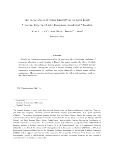 The Social Effects of Ethnic Diversity at the Local Level: A